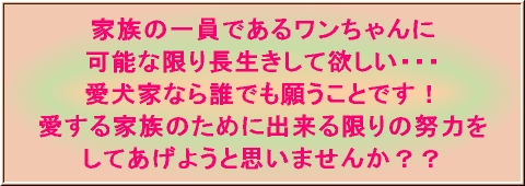 愛犬(キャッチコピー).jpg